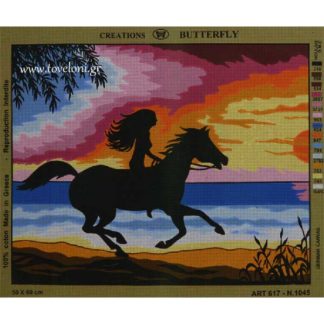 Κέντημα Καλπάζοντας 1045