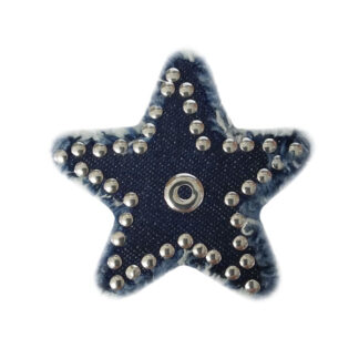 Θερμοκολλητικό Αστέρι 045