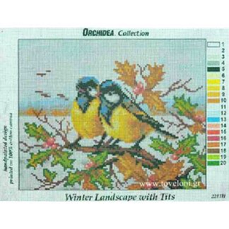 Χρώματα Κέντημα Πουλάκια 2211